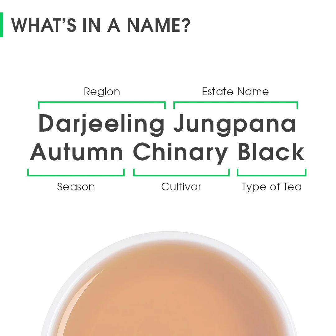 Darjeeling Jungpana Autumn Chinary Black - Image 8