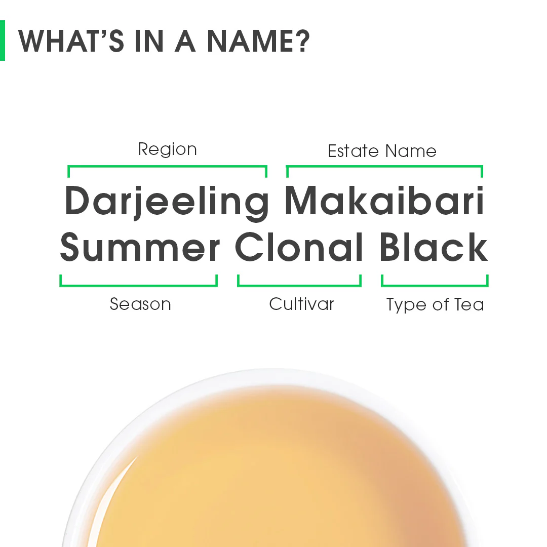 Darjeeling Makaibari Summer Clonal Black - Image 8