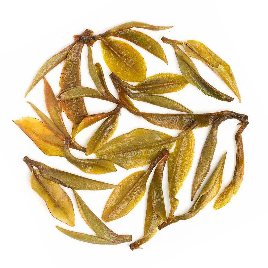 Darjeeling Margaret's Hope Spring Moonlight White - Image 4