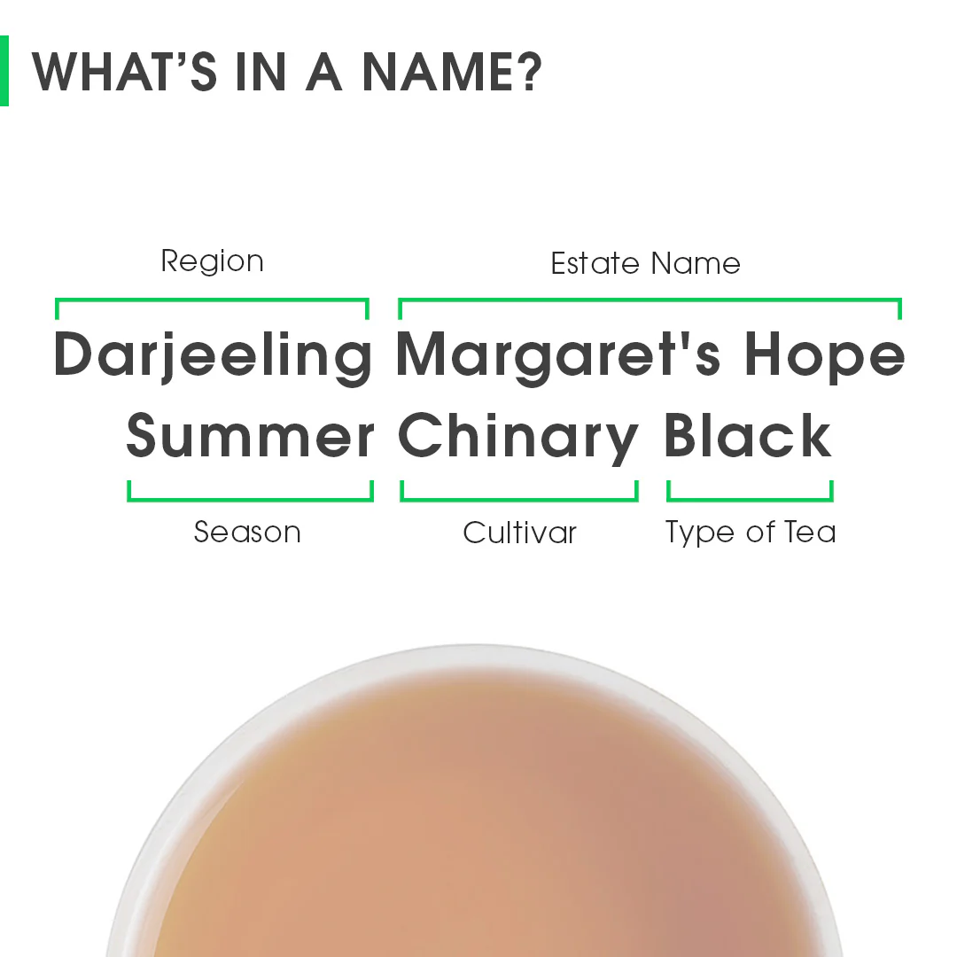 Darjeeling Margaret's Hope Summer Chinary Black - Image 8