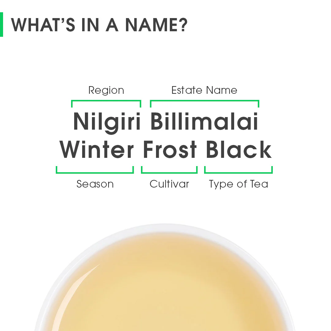 Nilgiri Billimalai Winter Frost Black - Image 8