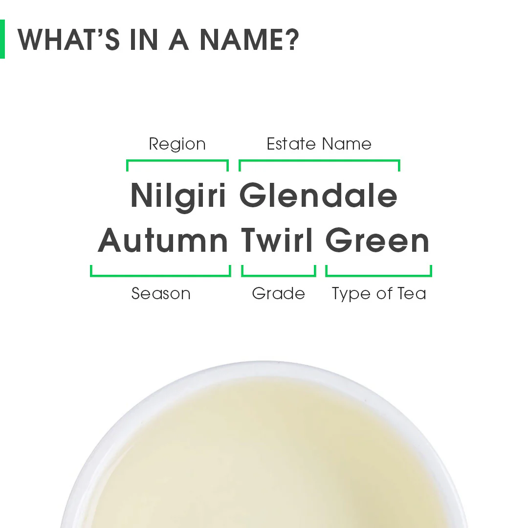 Nilgiri Glendale Autumn Twirl Green - Image 8