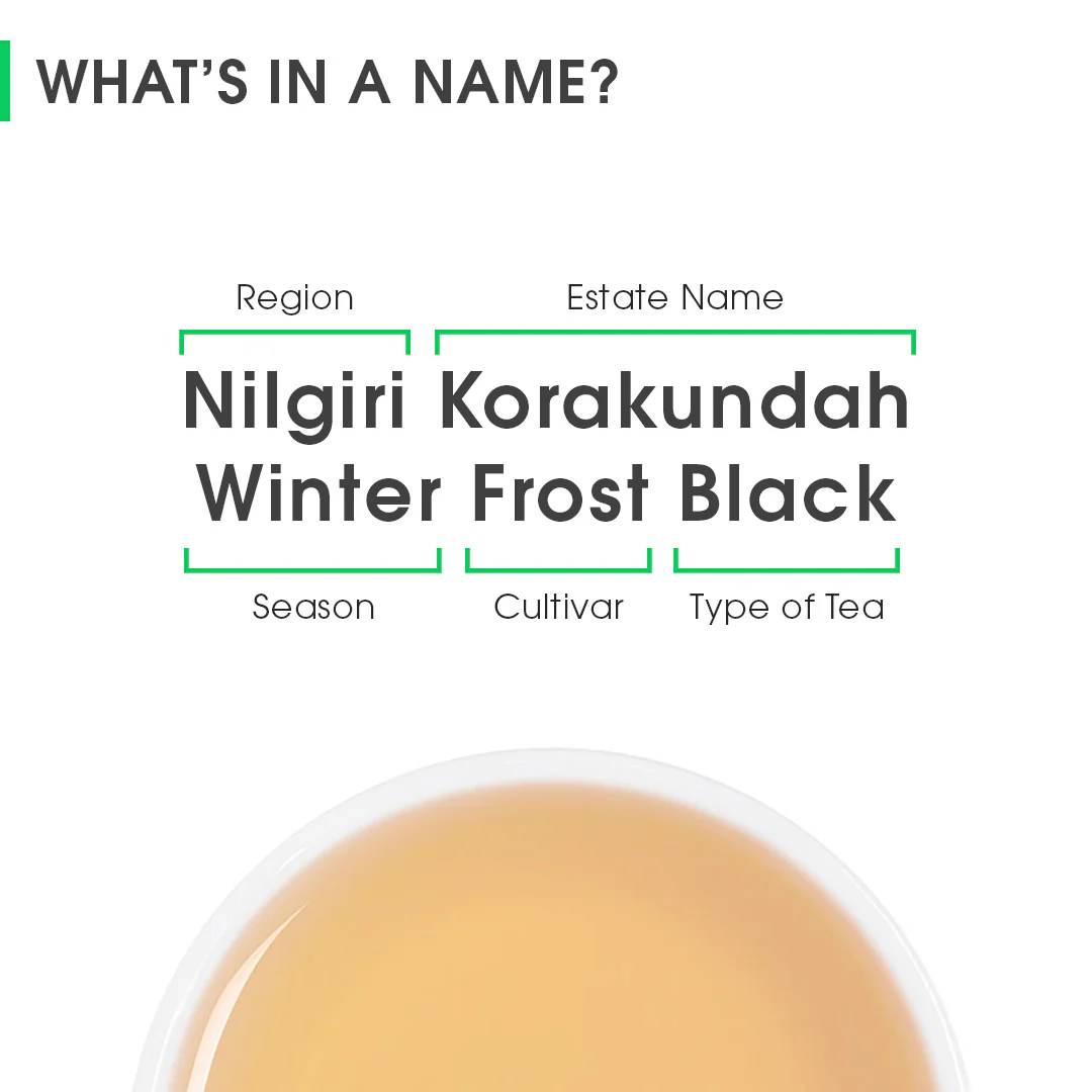 Nilgiri Korakundah Winter Frost Black - Image 8