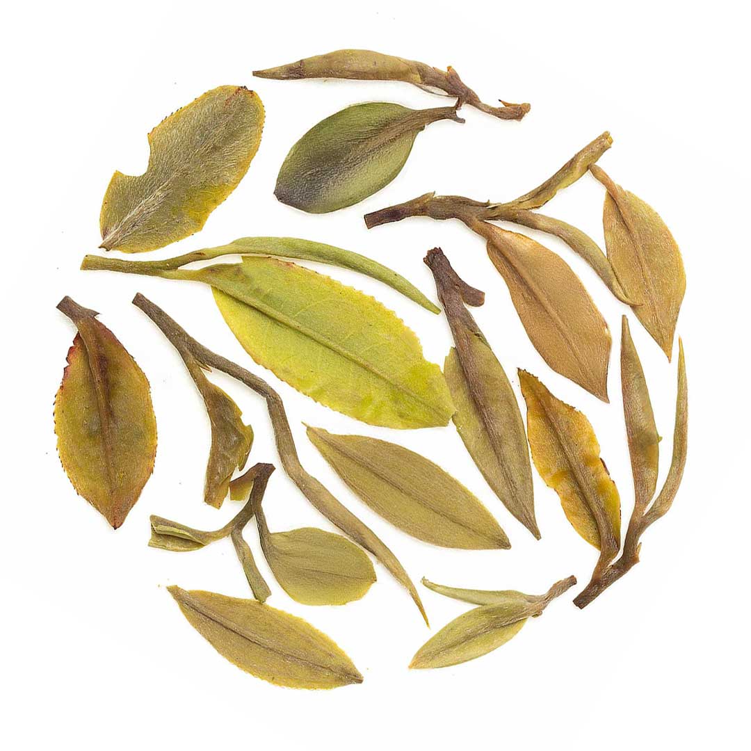 Darjeeling Samabeong Spring Black - Image 4