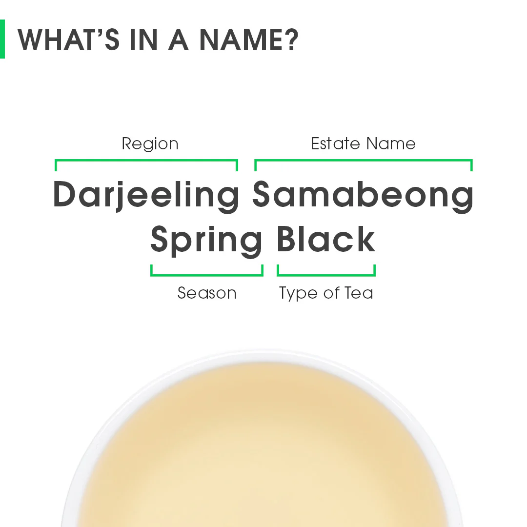 Darjeeling Samabeong Spring Black - Image 8