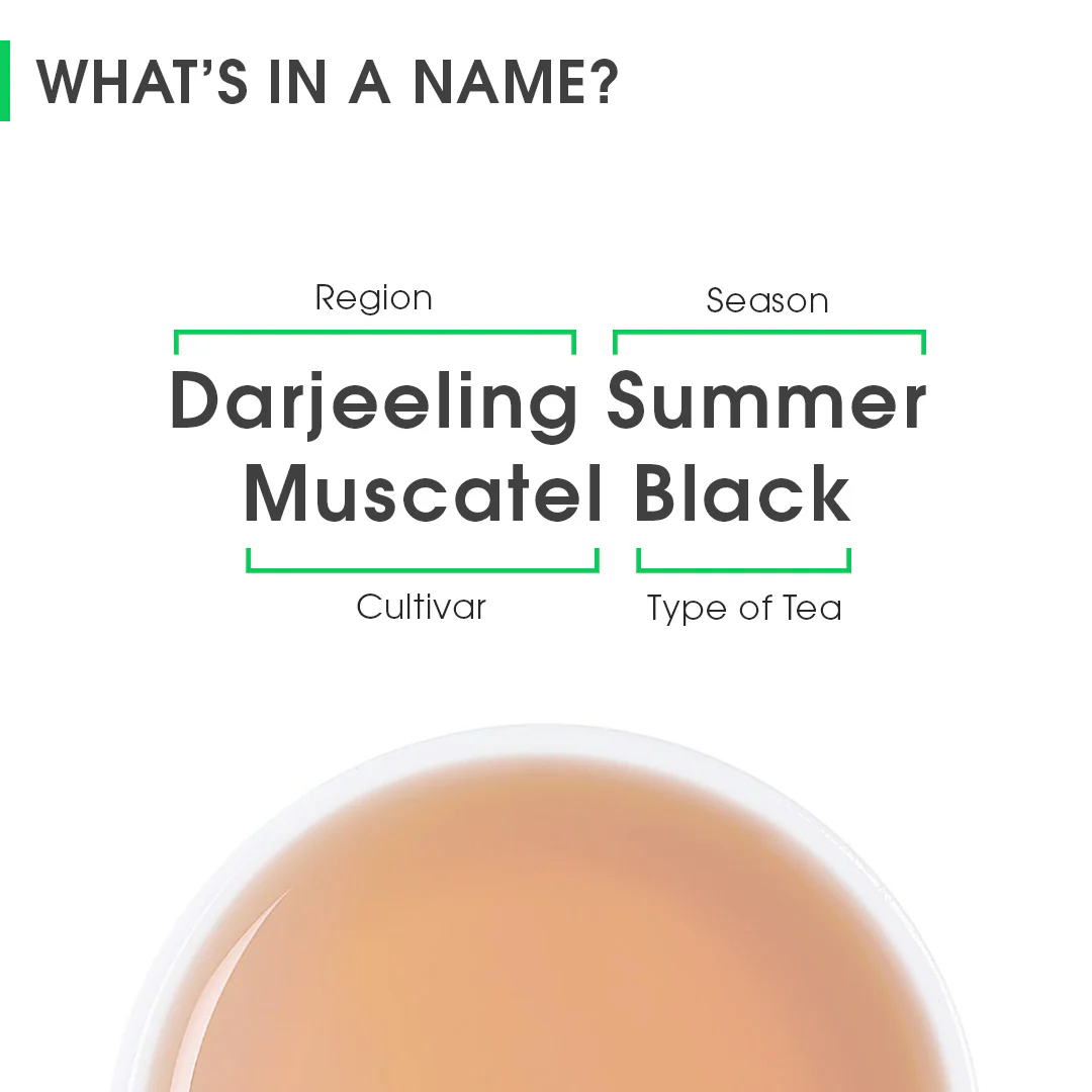 Darjeeling Summer Muscatel Black - Image 8