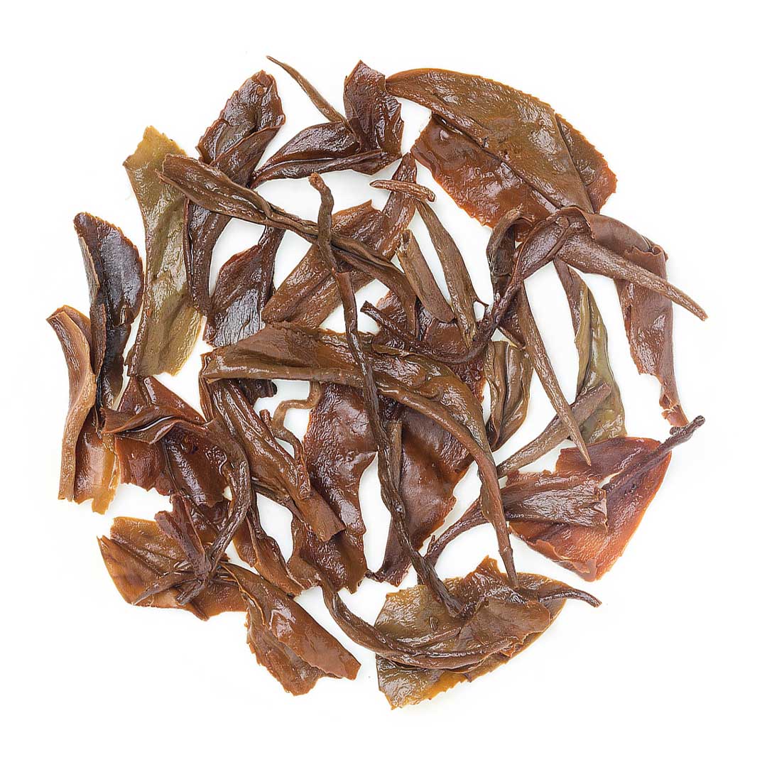 Darjeeling Ruby - Image 4