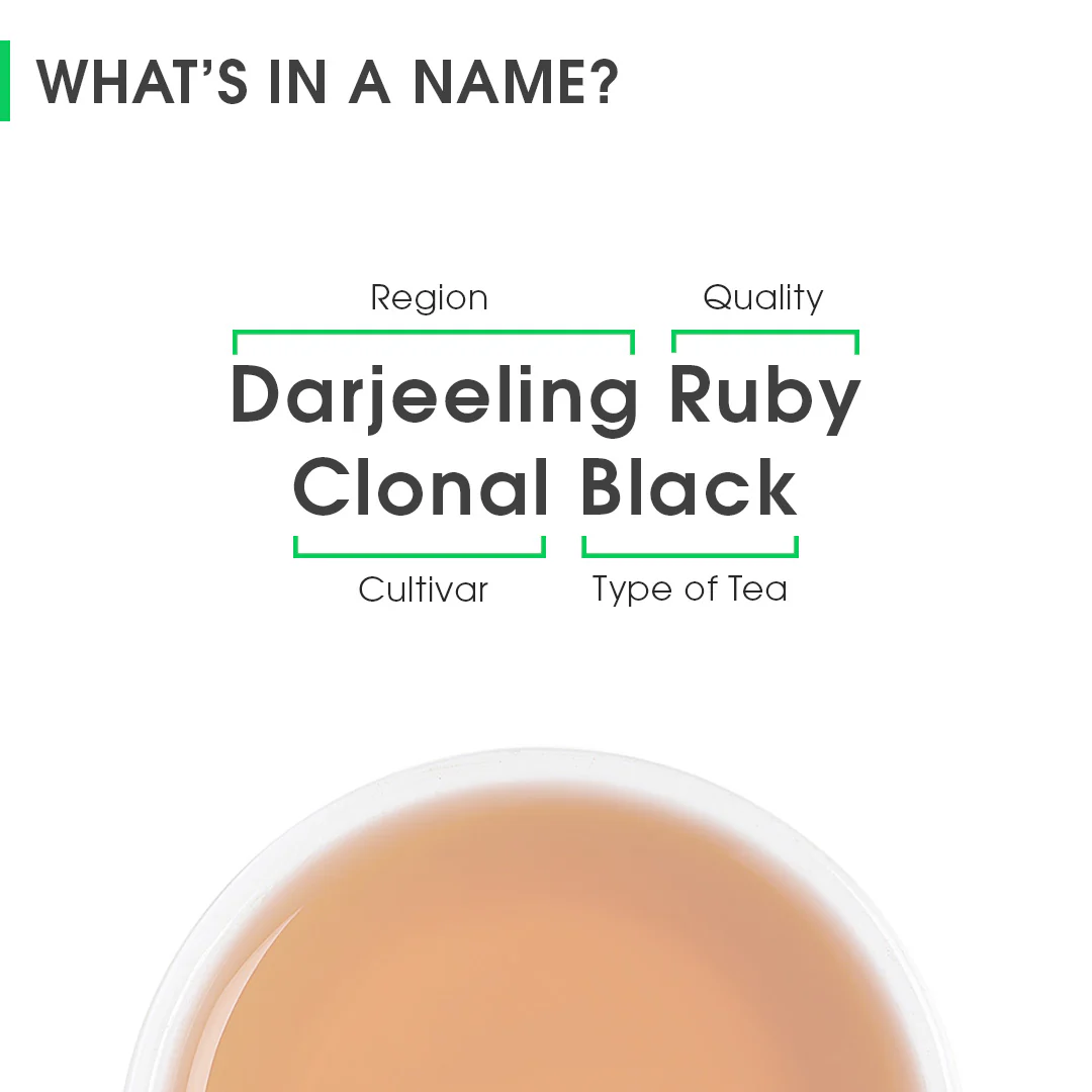 Darjeeling Ruby - Image 8