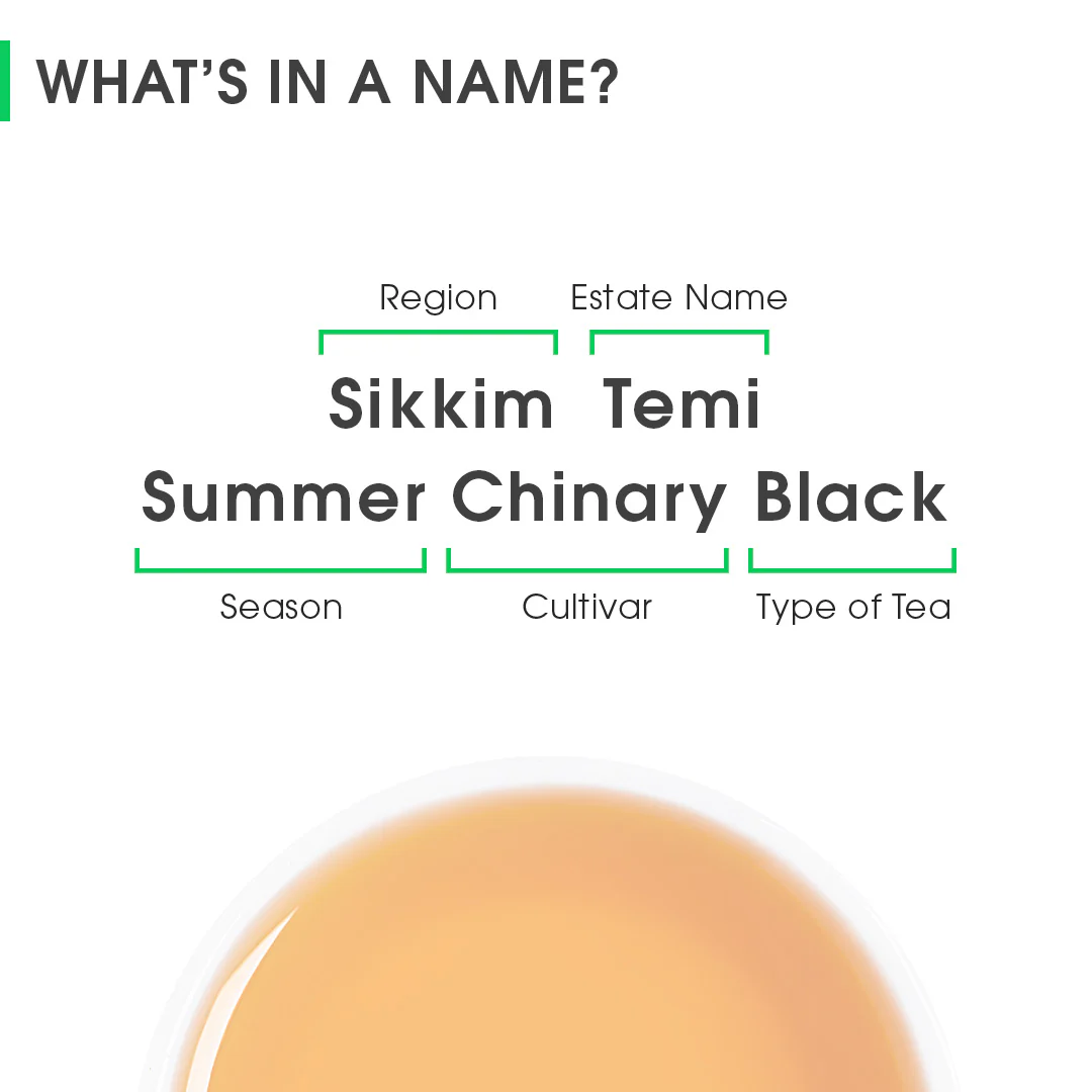 Sikkim Temi Summer Chinary Black - Image 8