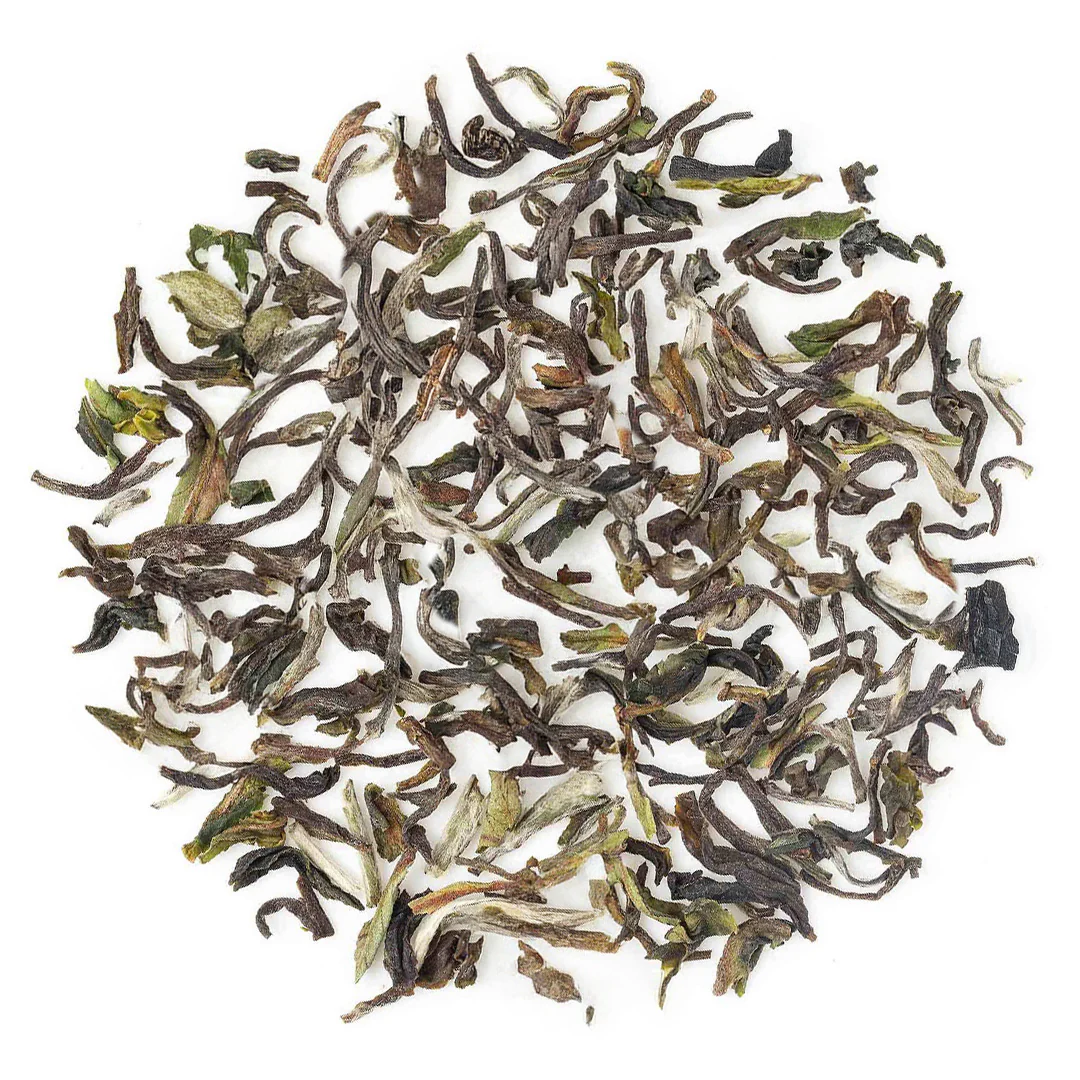 Darjeeling Thurbo Spring Chinary Black - Image 2