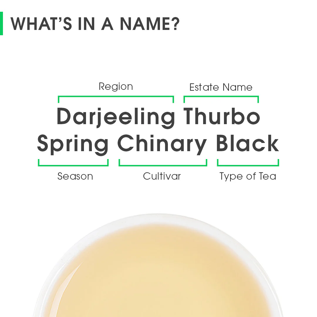 Darjeeling Thurbo Spring Chinary Black - Image 8
