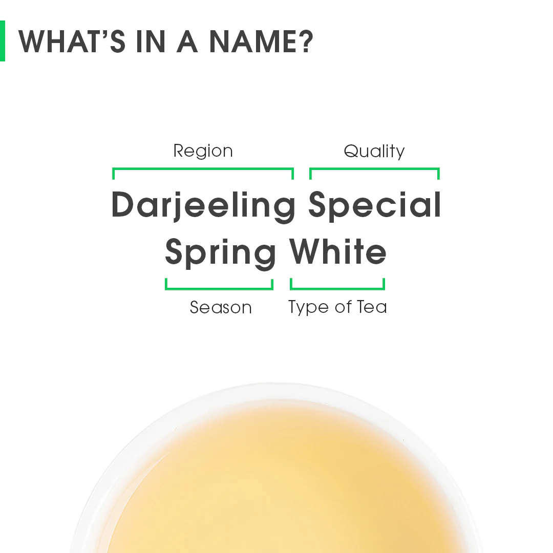 Darjeeling Special Spring White - Image 8